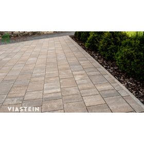 Viastein Vieto Mistro kagylóhéj árnyalt 6 cm