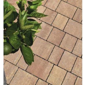 Viastein Vieto Mistro mokka árnyalt 6 cm