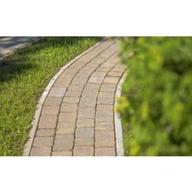 Leier Castrum antik kagylóhéj 8 cm 