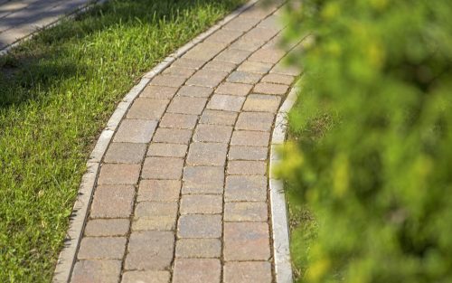 Leier Castrum antik kagylóhéj 5 cm