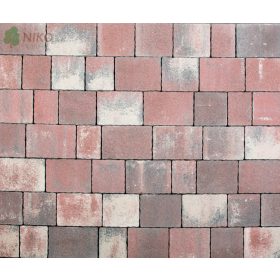 Leier Castrum natúr kagylóhéj 5 cm